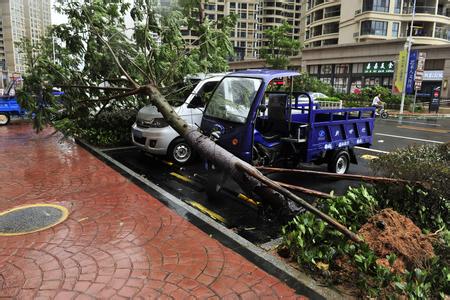 “妮妲”撲向珠三角 能者橡膠停產(chǎn)一天 “妮妲”撲向珠三角 能者橡膠停產(chǎn)一天